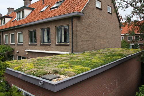 green roof