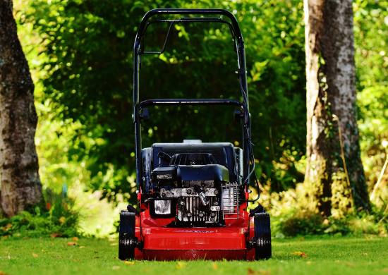 Cutting grass