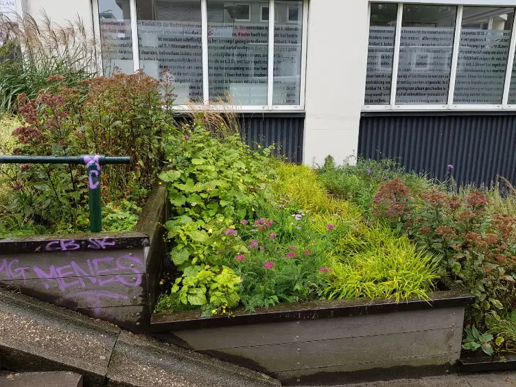 Tuinonderhoud bedrijven